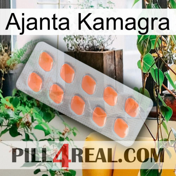 Ajanta Kamagra 26.jpg